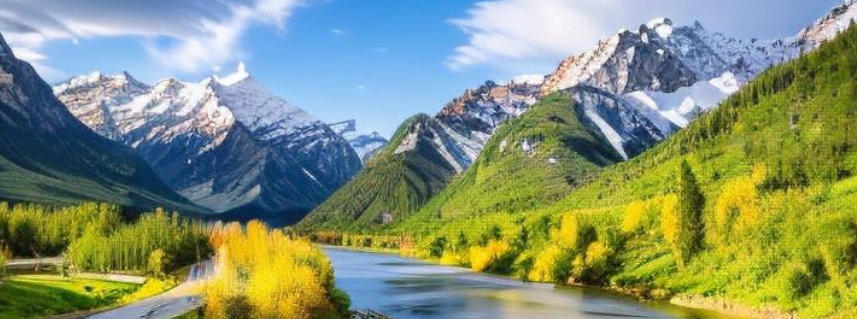 上海大屯煤电有限公司轮播图1